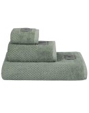 GREENWICH POLO CLUB ΠΕΤΣΕΤΑ ΠΡΟΣΩΠΟΥ 50Χ90 PREMIUM 4121 GREEN