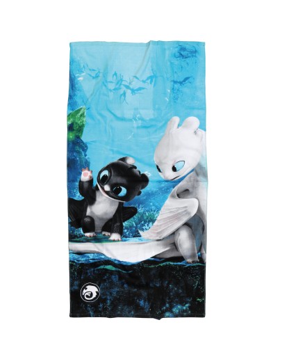 ΠΕΤΣΕΤΑ ΘΑΛΑΣΣΗΣ HOW TO TRAIN YOUR YOUR DRAGON 70Χ140 5865 ΜΑΥΡΟ, ΜΠΛΕ