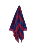 GREENWICH POLO CLUB ΠΕΤΣΕΤΑ ΘΑΛΑΣΣΗΣ 90Χ170 3724 BLUE, RED