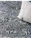 KENTIA: ZECORA 22 ΡΙΧΤΑΡΙ ΠΟΛΥΘΡΟΝΑΣ