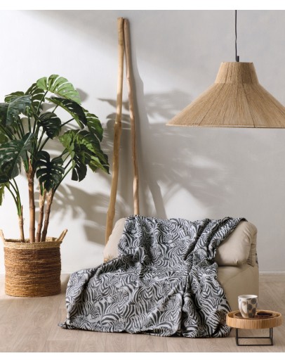 KENTIA: ZECORA 22 ΡΙΧΤΑΡΙ ΠΟΛΥΘΡΟΝΑΣ