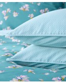 KENTIA: SOLEDAD A ΜΑΞΙΛΑΡΟΘΗΚΕΣ.ΣΕΤ 2 ΤΕΜ