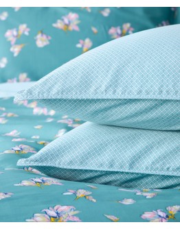 KENTIA: SOLEDAD A ΜΑΞΙΛΑΡΟΘΗΚΕΣ.ΣΕΤ 2 ΤΕΜ