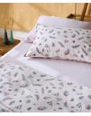 KENTIA: FRUTILLA 14 ΣΕΝΤΟΝΙ.KING ΣΕΤ 4 ΤΕΜ