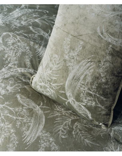 KENTIA: VINCENT ΠΑΠΛΩΜΑΤΟΘΗΚΗ.ΥΠΕΡΔΙΠΛΗ