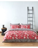 KENTIA: ALIDA 17 ΣΕΝΤΟΝΙ.ΥΠΕΡΔΙΠΛΟ ΣΕΤ 4 ΤΕΜ