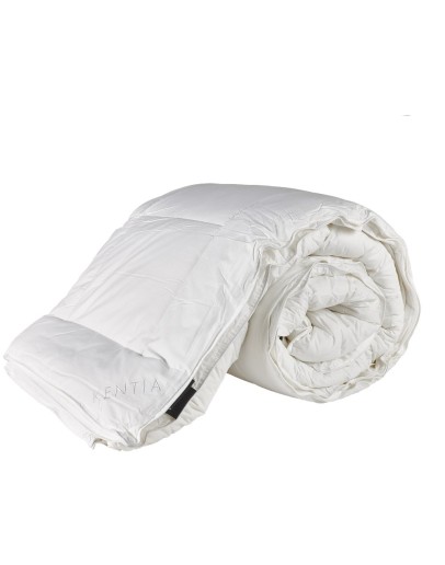 KENTIA: 4 SEASONS ΠΑΠΛΩΜΑ.ΗΜΙΔΙΠΛΟ