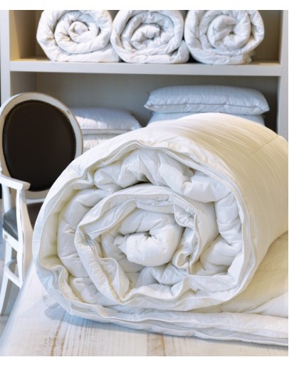 KENTIA: 4 SEASONS ΠΑΠΛΩΜΑ.ΜΟΝΟ