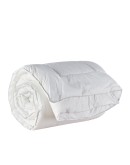 KENTIA: DREAMER ΠΑΠΛΩΜΑ.ΚΟΥΝΙΑΣ