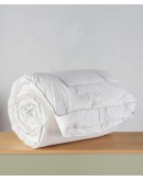 KENTIA: DREAMER ΠΑΠΛΩΜΑ.ΚΟΥΝΙΑΣ