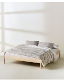 KENTIA: TRUBI 14 ΚΟΥΒΕΡΤΟΡΙΟ.ΜΟΝΟ