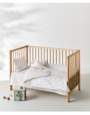 KENTIA: LIRIO ΣΕΝΤΟΝΙ ΛΙΚΝΟΥ.ΣΕΤ 2 ΤΕΜ