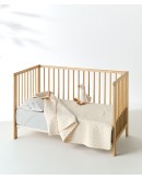 KENTIA: CRISTOFER 19 ΚΟΥΒΕΡΤΟΡΙΟ ΚΟΥΝΙΑΣ