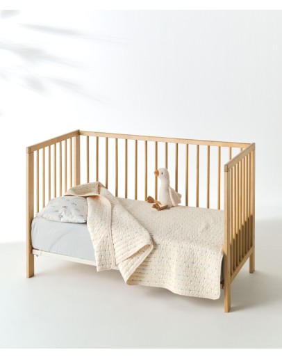 KENTIA: CRISTOFER 19 ΚΟΥΒΕΡΤΟΡΙΟ ΚΟΥΝΙΑΣ