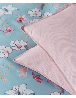 KENTIA: DARLYN A ΜΑΞΙΛΑΡΟΘΗΚΕΣ.ΣΕΤ 2 ΤΕΜ