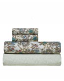 KENTIA: PARROT ΣΕΝΤΟΝΙ.KING ΣΕΤ 4 ΤΕΜ