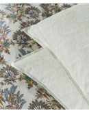 KENTIA: PARROT A ΜΑΞΙΛΑΡΟΘΗΚΕΣ.ΣΕΤ 2 ΤΕΜ