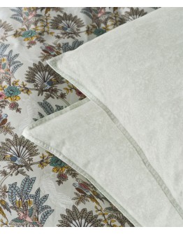 KENTIA: PARROT A ΜΑΞΙΛΑΡΟΘΗΚΕΣ.ΣΕΤ 2 ΤΕΜ