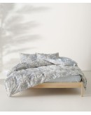 KENTIA: KERNEL 01 ΜΑΞΙΛΑΡΟΘΗΚΕΣ.ΣΕΤ 2 ΤΕΜ