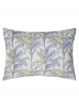 KENTIA: KERNEL 01 ΜΑΞΙΛΑΡΟΘΗΚΕΣ.ΣΕΤ 2 ΤΕΜ