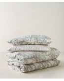 KENTIA: KERNEL 20 ΣΕΝΤΟΝΙ.KING ΣΕΤ 4 ΤΕΜ