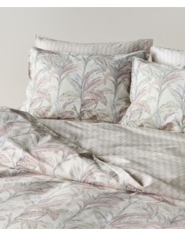 KENTIA: KERNEL 20 ΜΑΞΙΛΑΡΟΘΗΚΕΣ.ΣΕΤ 2 ΤΕΜ