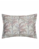 KENTIA: KERNEL 20 ΜΑΞΙΛΑΡΟΘΗΚΕΣ.ΣΕΤ 2 ΤΕΜ