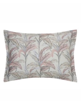 KENTIA: KERNEL 20 ΜΑΞΙΛΑΡΟΘΗΚΕΣ.ΣΕΤ 2 ΤΕΜ