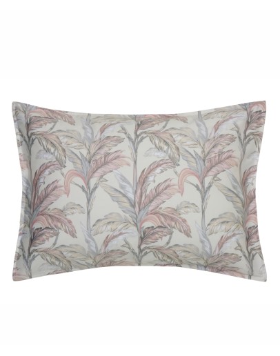 KENTIA: KERNEL 20 ΜΑΞΙΛΑΡΟΘΗΚΕΣ.ΣΕΤ 2 ΤΕΜ