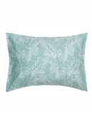 KENTIA: SOLAYA 10 ΜΑΞΙΛΑΡΟΘΗΚΕΣ.ΣΕΤ 2 ΤΕΜ