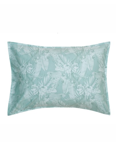 KENTIA: SOLAYA 10 ΜΑΞΙΛΑΡΟΘΗΚΕΣ.ΣΕΤ 2 ΤΕΜ