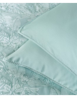 KENTIA: SOLAYA 10A ΜΑΞΙΛΑΡΟΘΗΚΕΣ.ΣΕΤ 2 ΤΕΜ