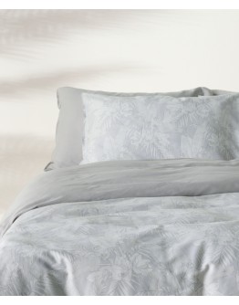 KENTIA: SOLAYA 22 ΠΑΠΛΩΜΑΤΟΘΗΚΗ.ΥΠΕΡΔΙΠΛΗ ΣΕΤ 3 ΤΕΜ