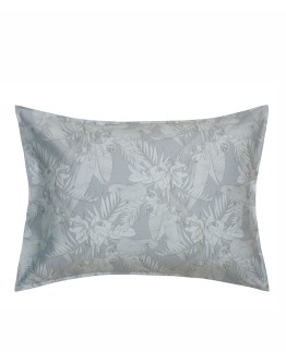 KENTIA: SOLAYA 22 ΜΑΞΙΛΑΡΟΘΗΚΕΣ.ΣΕΤ 2 ΤΕΜ