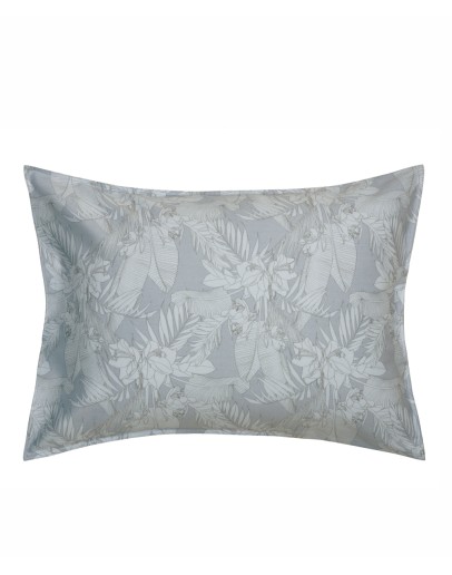 KENTIA: SOLAYA 22 ΜΑΞΙΛΑΡΟΘΗΚΕΣ.ΣΕΤ 2 ΤΕΜ