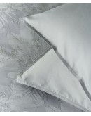 KENTIA: SOLAYA 22A ΜΑΞΙΛΑΡΟΘΗΚΕΣ.ΣΕΤ 2 ΤΕΜ