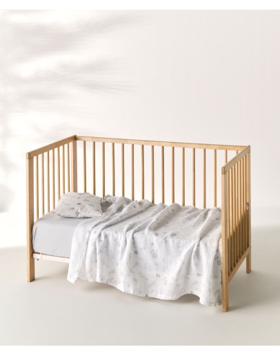 KENTIA: CANOPY A ΚΟΥΒΕΡΤΑ ΚΟΥΝΙΑΣ MUSLIN