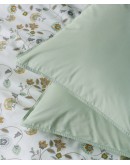 KENTIA: IFIGENIA A ΜΑΞΙΛΑΡΟΘΗΚΕΣ.ΣΕΤ 2 ΤΕΜ