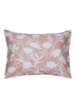 KENTIA: ROSAIRA 18 ΜΑΞΙΛΑΡΟΘΗΚΕΣ.ΣΕΤ 2 ΤΕΜ