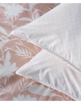 KENTIA: ROSAIRA 18A ΜΑΞΙΛΑΡΟΘΗΚΕΣ.ΣΕΤ 2 ΤΕΜ