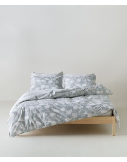 KENTIA: ROSAIRA 22 ΣΕΝΤΟΝΙ.KING ΣΕΤ 4 ΤΕΜ