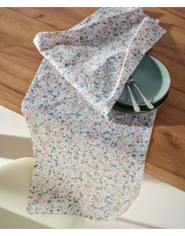 KENTIA: FIORITA RUNNER ΣΕΤ 2 TEM