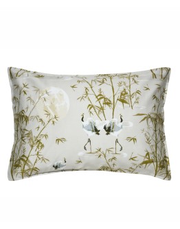 KENTIA: SHIZEN 36 ΜΑΞΙΛΑΡΟΘΗΚΕΣ.ΣΕΤ 2 ΤΕΜ