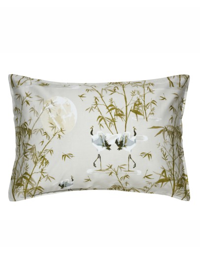 KENTIA: SHIZEN 36 ΜΑΞΙΛΑΡΟΘΗΚΕΣ.ΣΕΤ 2 ΤΕΜ