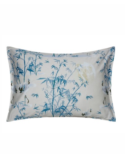 KENTIA: SHIZEN 01 ΜΑΞΙΛΑΡΟΘΗΚΕΣ.ΣΕΤ 2 ΤΕΜ