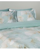 KENTIA: GIGI 16 ΣΕΝΤΟΝΙ.KING ΣΕΤ 4 ΤΕΜ