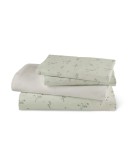 Borea: Σετ Σεντόνια Υπέρδιπλα, Campanula, Λαδί