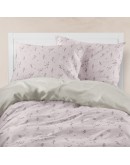 Borea: Σετ Σεντόνια Υπέρδιπλα, Campanula, Σάπιο Μήλο