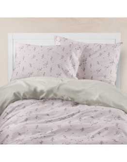 Borea: Σετ Σεντόνια Υπέρδιπλα, Campanula, Σάπιο Μήλο